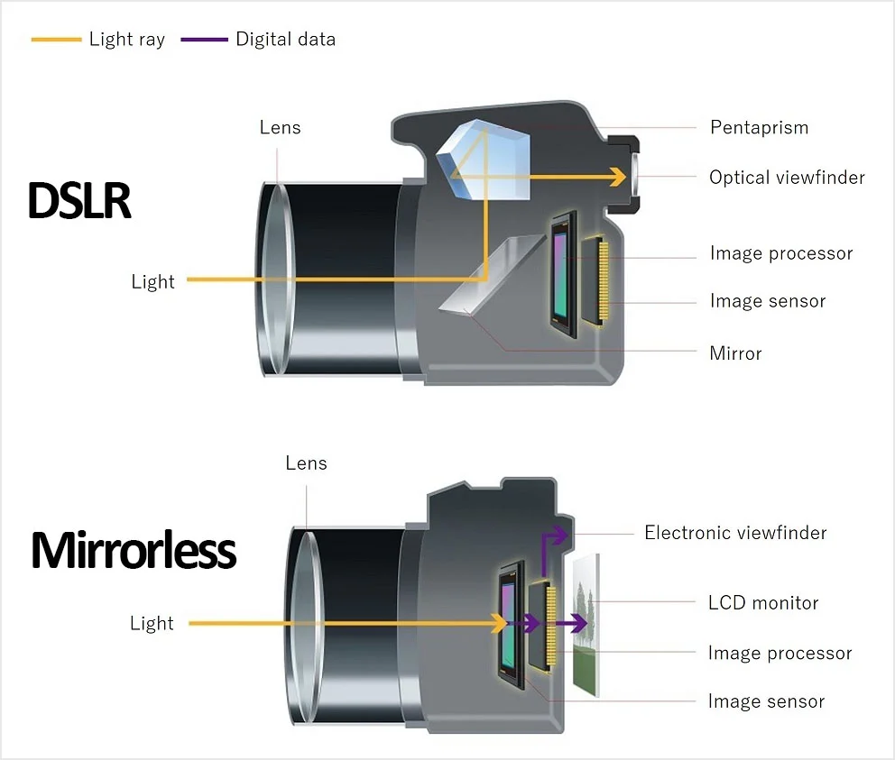 DSLR Vs Mirrorless Camera